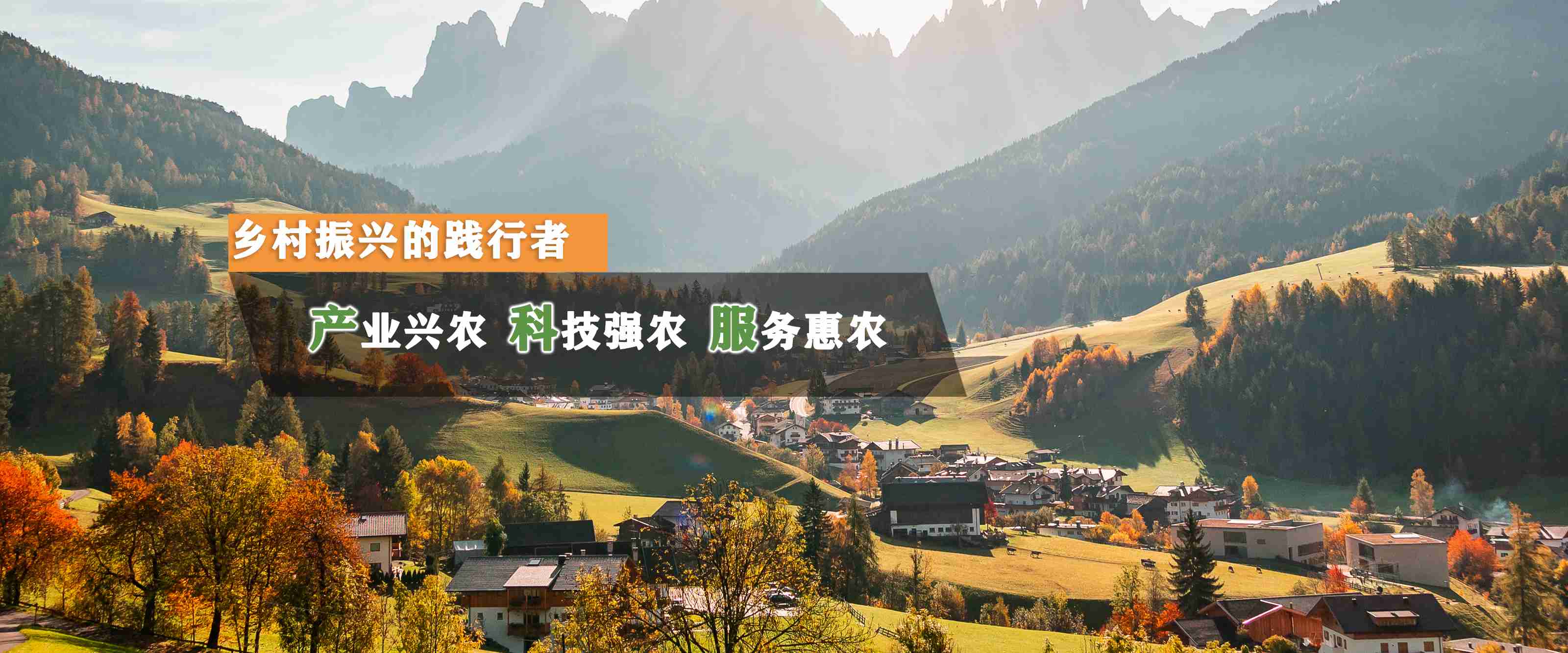 通欄圖片